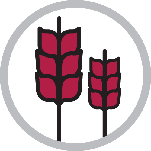 Light agriculture icon